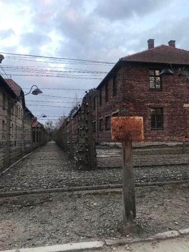 Konzentrationslager Birkenau