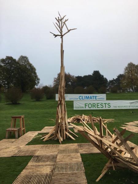 Climate Forests - COP 23
