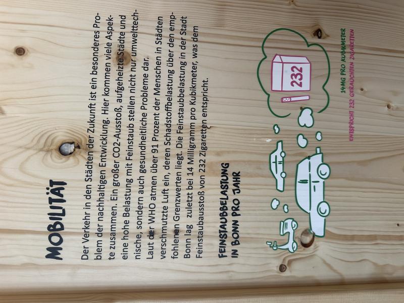 Pop up Wald Lernwerkstatt