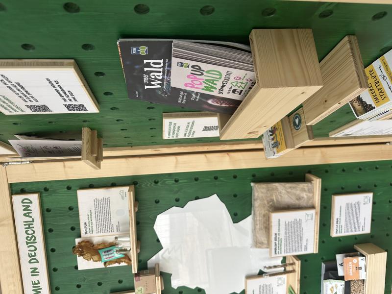 Pop up Wald Lernwerkstatt