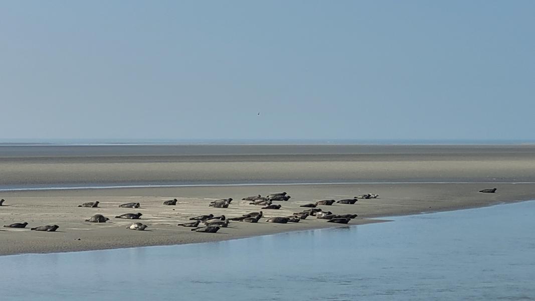 Austausch Rückbesuch 2026
